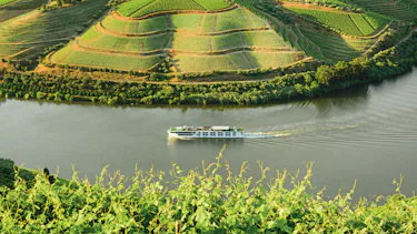 Scenic Amber, Rhine River