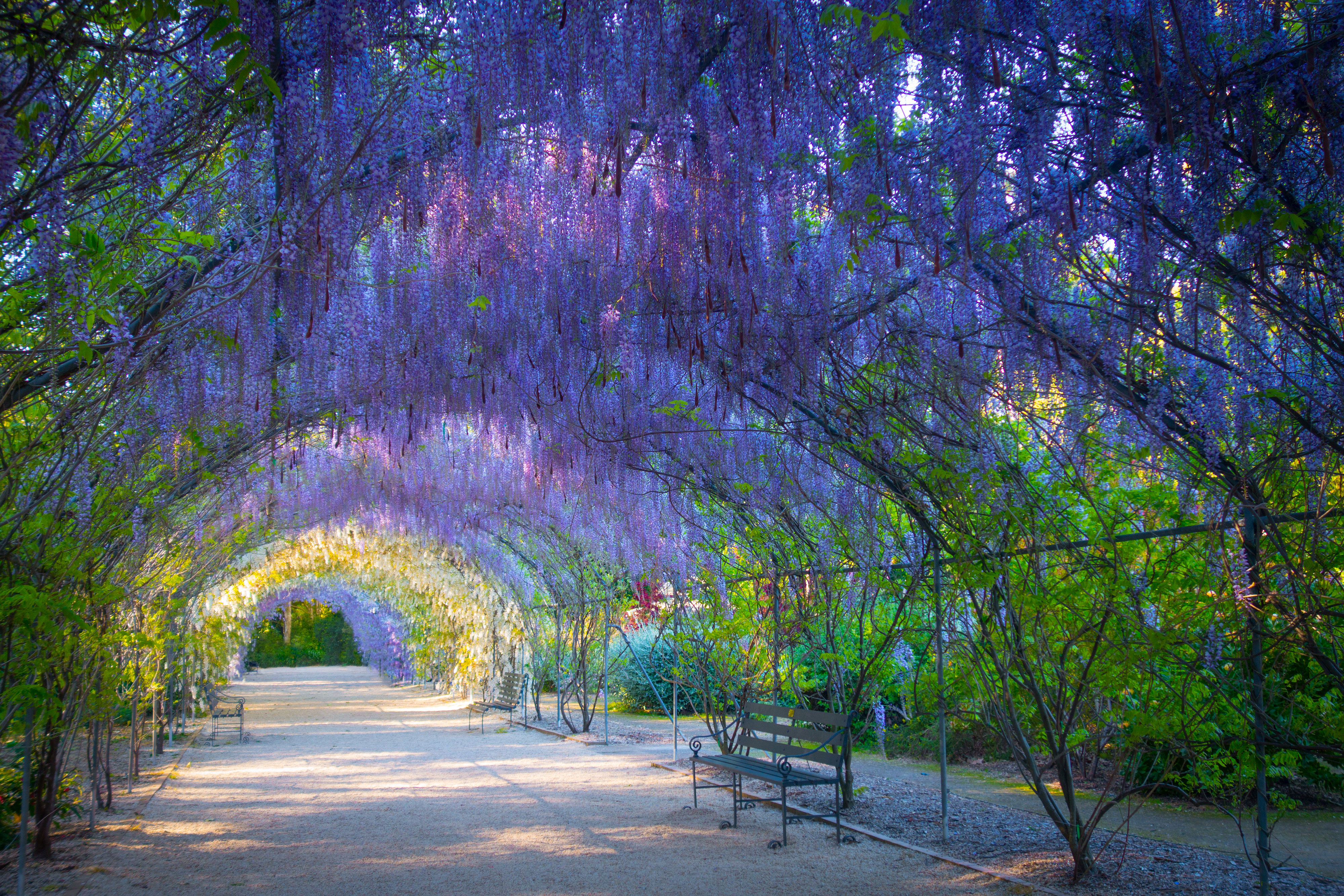 Adelaide, Australia