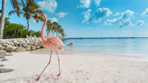 Oranjestad, Aruba