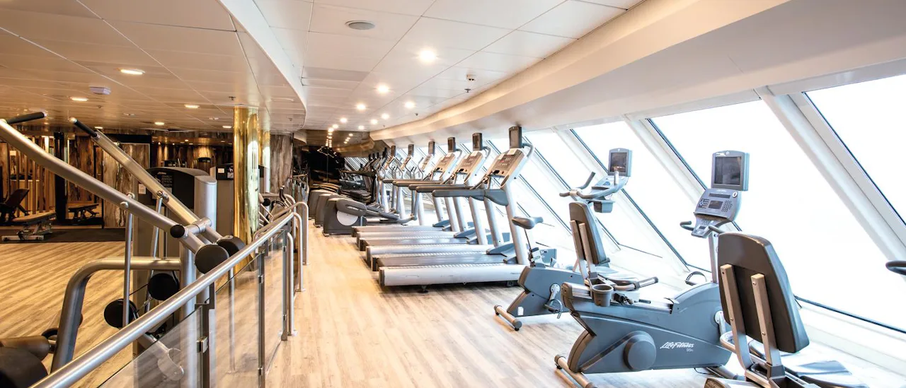 The Gym