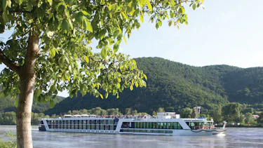 AmaDante, Seine