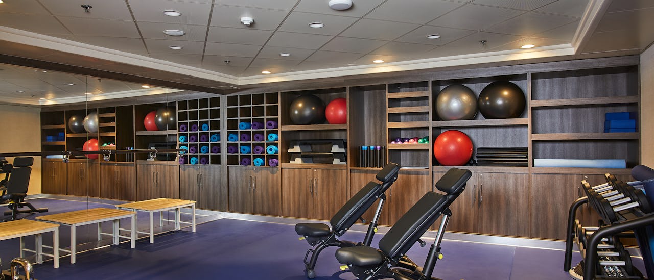 The gym