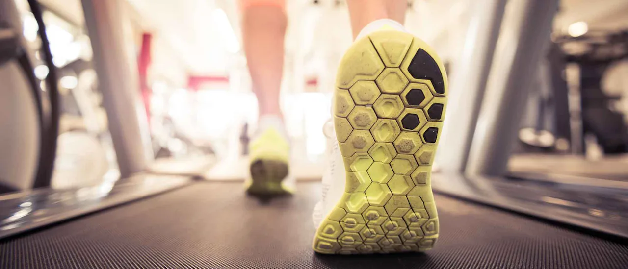 The Gym and Fitness Studio