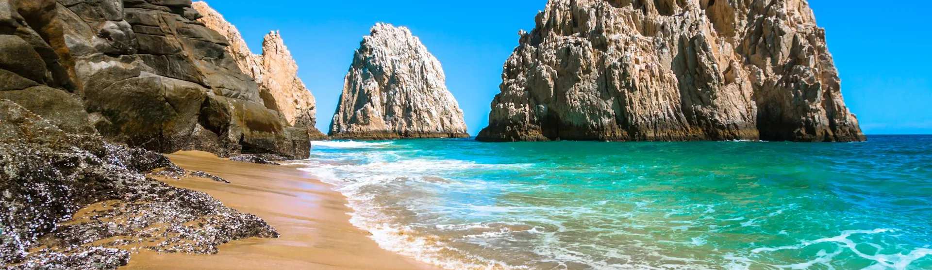 Cabo San Lucas Cruises