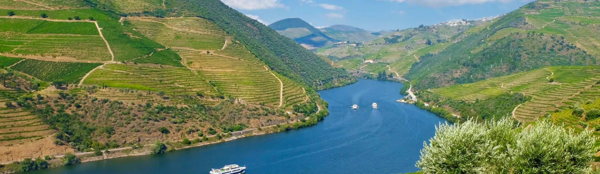 Douro River Cruises