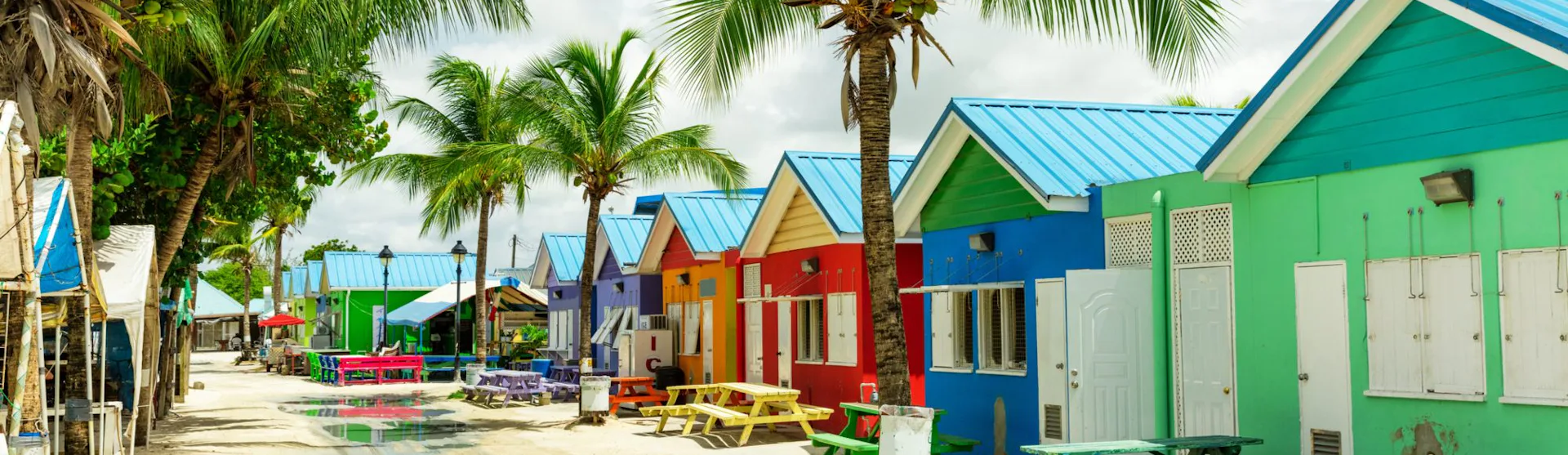 Barbados Cruise