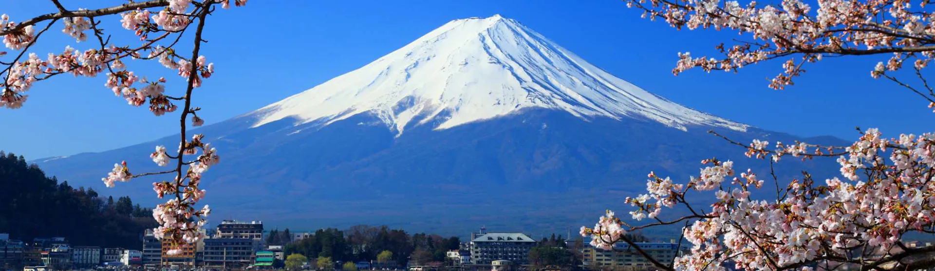 Japan Cruise
