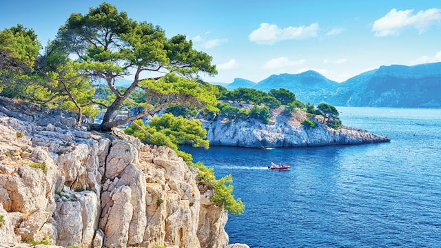 MSC Sail & Save Offer