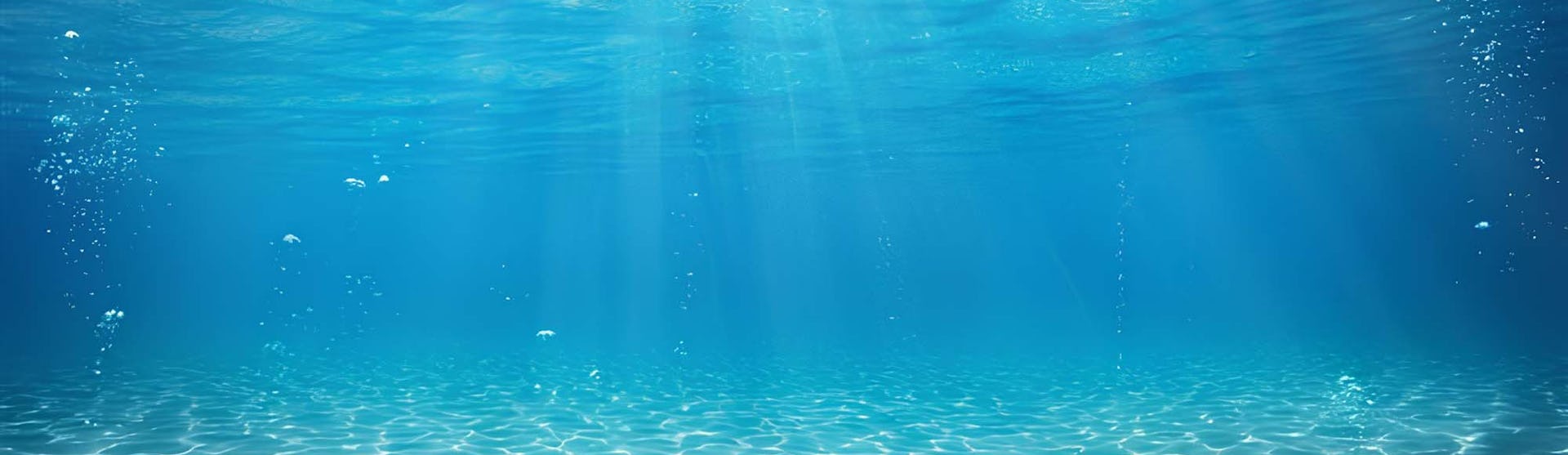 Underwater shot of a clear blue ocean | Black Friday Cruise Deals