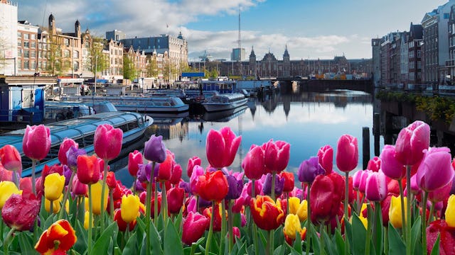 Facades of old historic Houses over canal water, Amsterdam, Netherlands