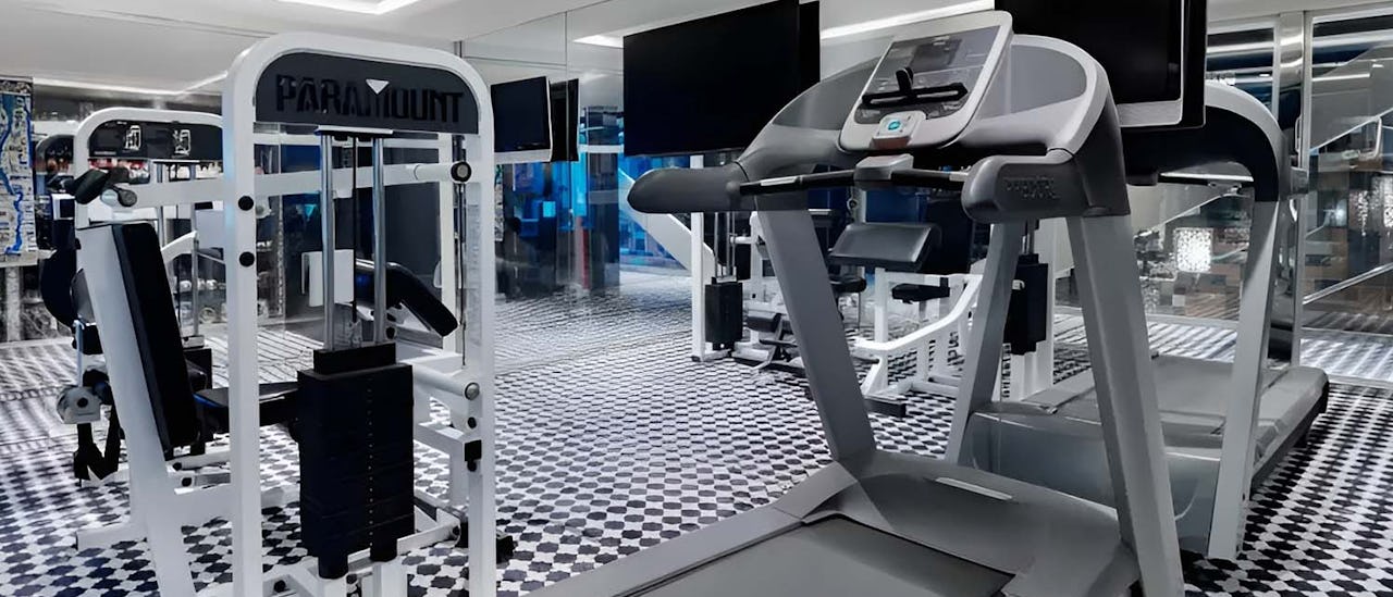 MS Mövenpick Darakum Fitness Room
