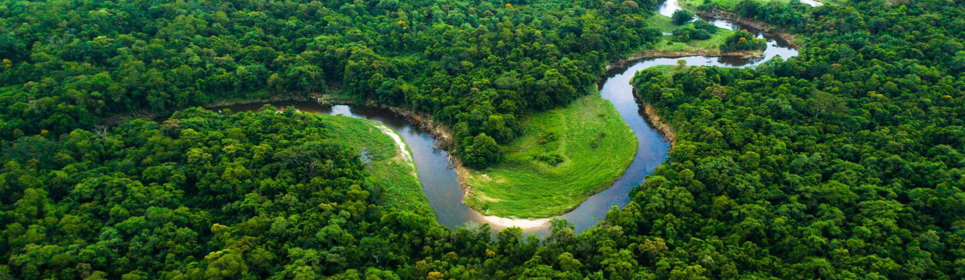 Amazon (Manaus) Cruises