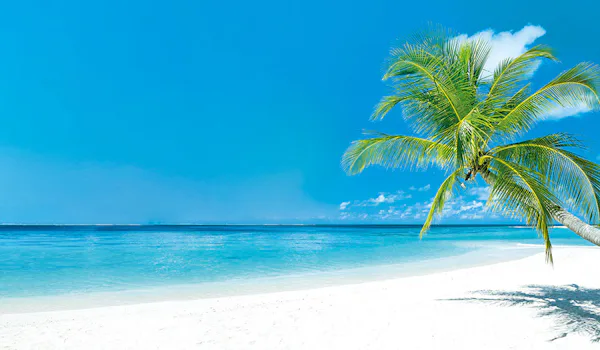 UP TO £500 ONBOARD CREDIT