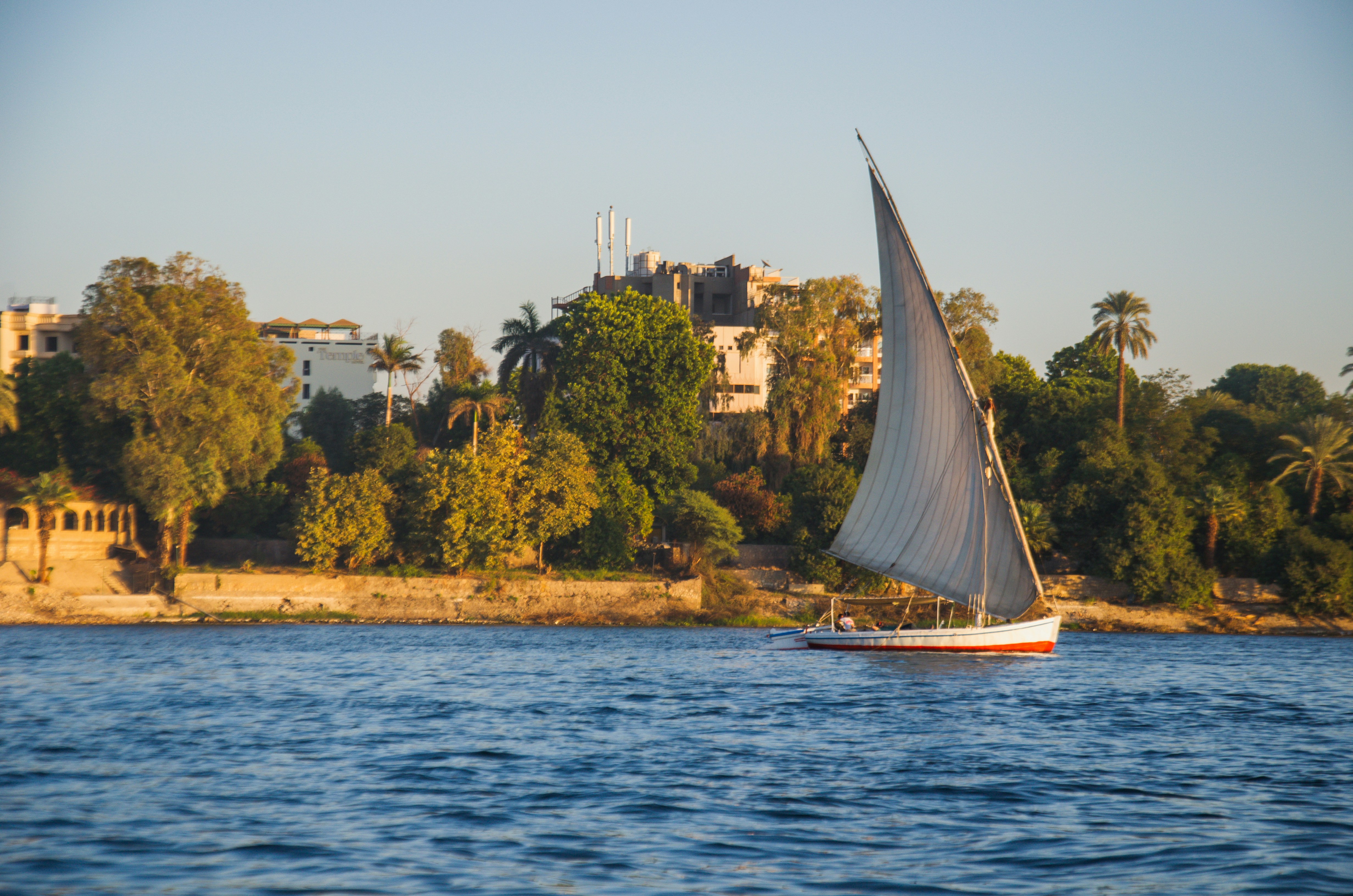 Traditional Egyptian felucca sailing on the Nile River near a palm-lined shoreline, showcasing a classic river cruise experience in Egypt during golden-hour light.