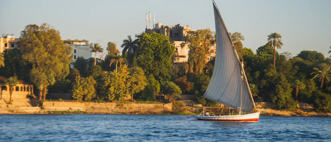 Traditional Egyptian felucca sailing on the Nile River near a palm-lined shoreline, showcasing a classic river cruise experience in Egypt during golden-hour light.
