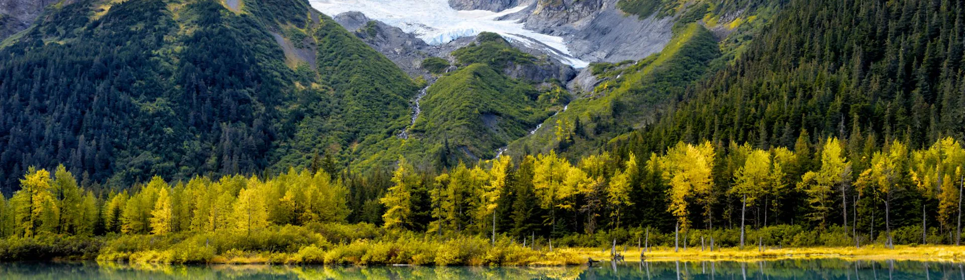Anchorage Cruises