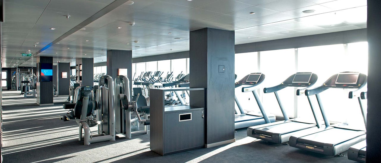 The Gym and Fitness Studio