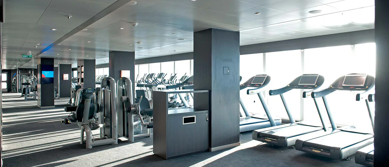 The Gym and Fitness Studio