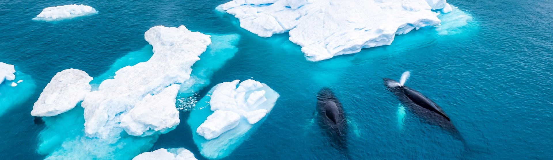 Greenland