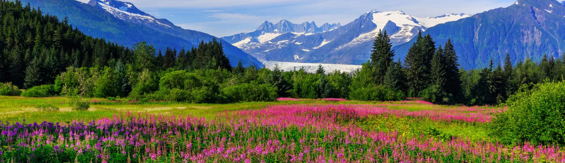 Juneau Cruises