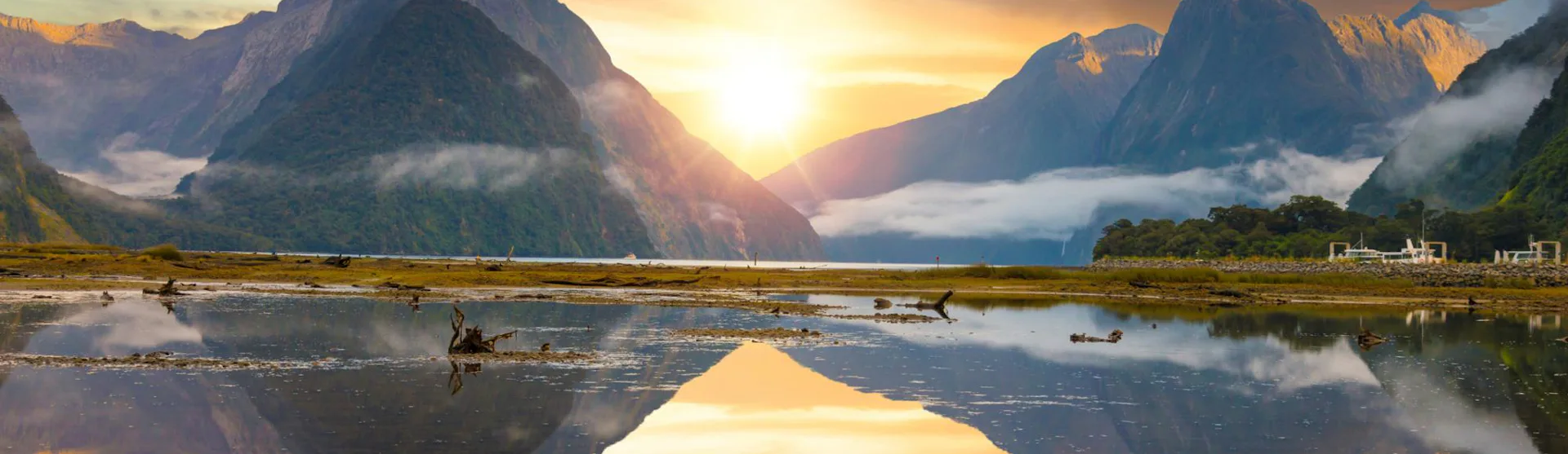 New Zealand Cruises