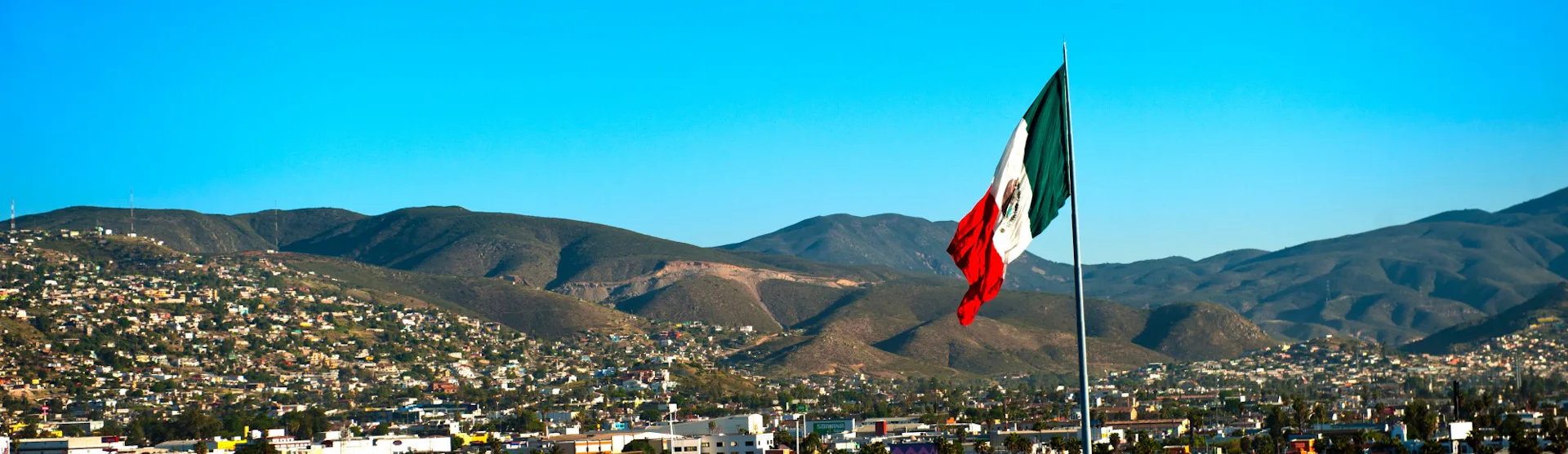 Ensenada Cruises