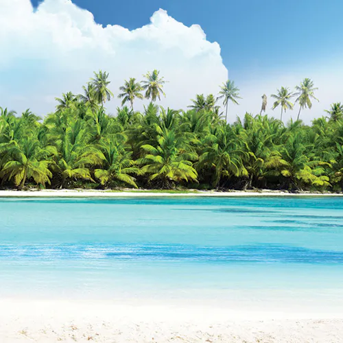 Up to £600 to spend on board
