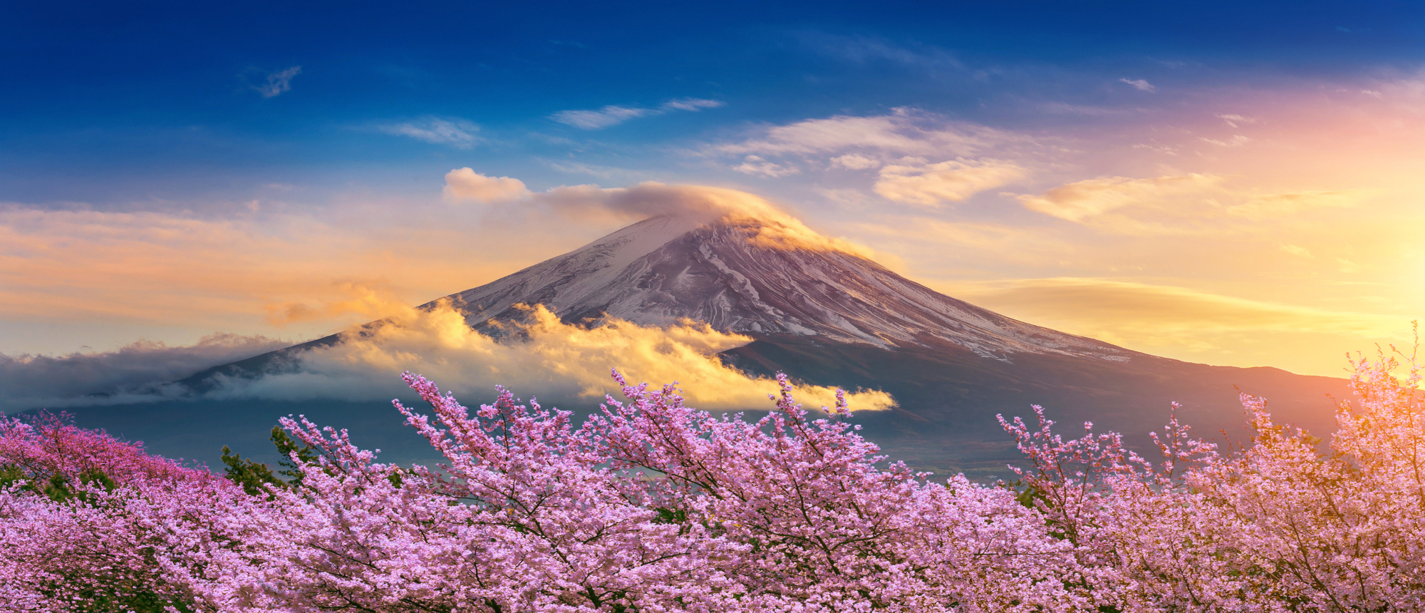 Discover Japan: Cherry Blossom Cruise & Stay with Princess Cruises