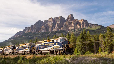 Glacial Grandeur: All-inclusive Hosted Alaska & Rocky Mountaineer Adventure