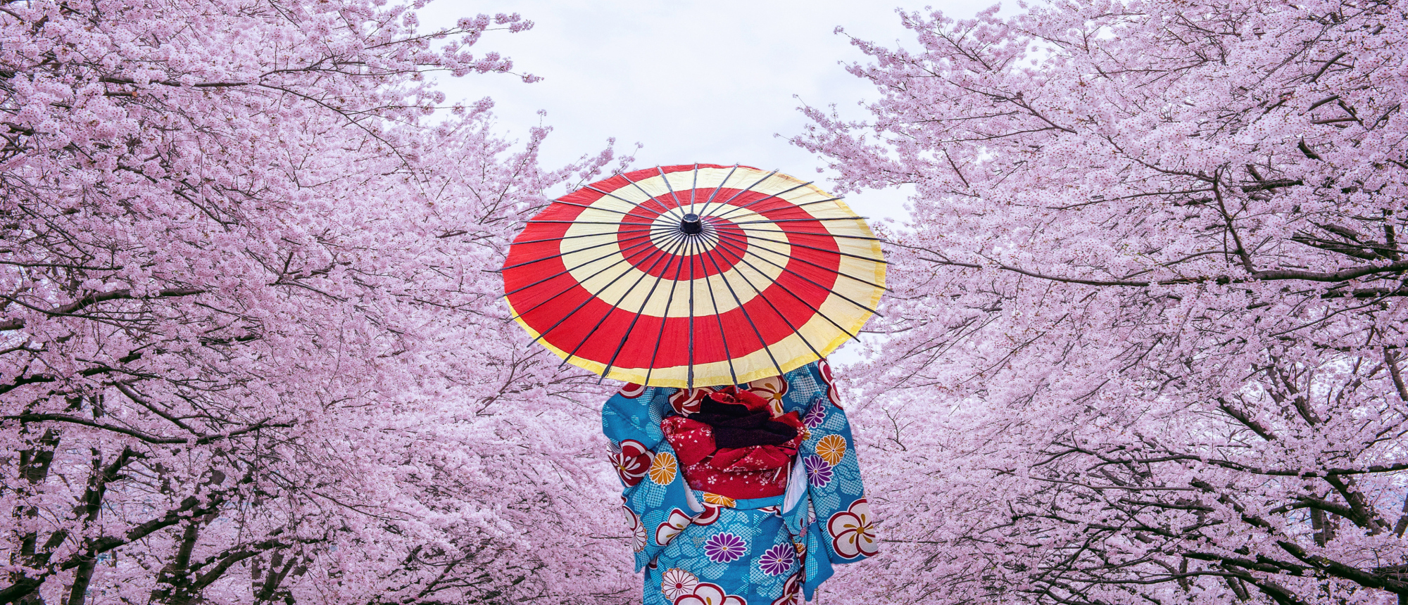 Discover Japan: Cherry Blossom Cruise & Stay with Celebrity Cruises
