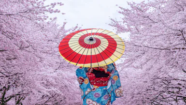 Discover Japan: Cherry Blossom Cruise & Stay with Celebrity Cruises