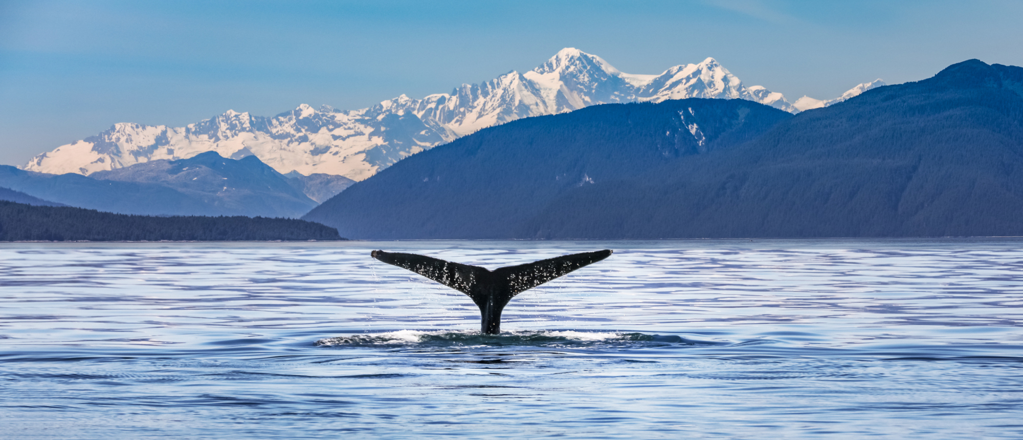 Casinos, Canyons & Alaskan Glaciers with Princess Cruises