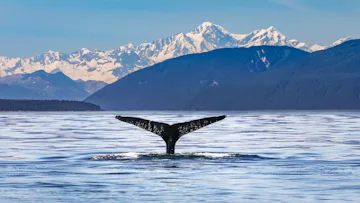 Casinos, Canyons & Alaskan Glaciers with Princess Cruises