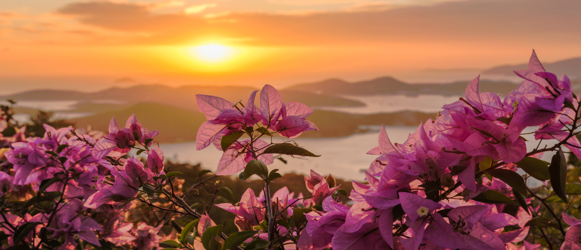 Caribbean Island Bliss with Oceania