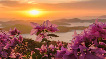 Caribbean Island Bliss with Oceania