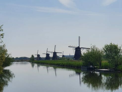 Windmills in kinderdjik width=